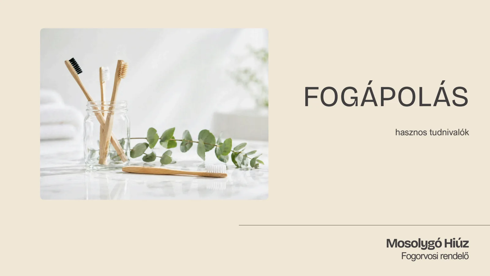Fogápolás — 1. dia a 15-ből